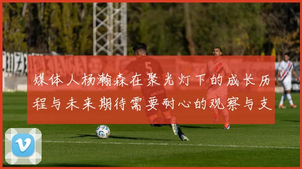 媒体人杨瀚森在聚光灯下的成长历程与未来期待需要耐心的观察与支持