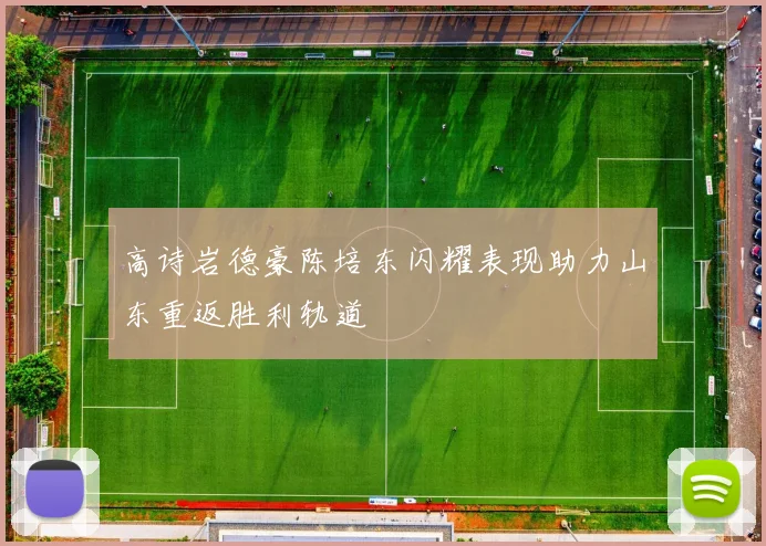 高诗岩德豪陈培东闪耀表现助力山东重返胜利轨道