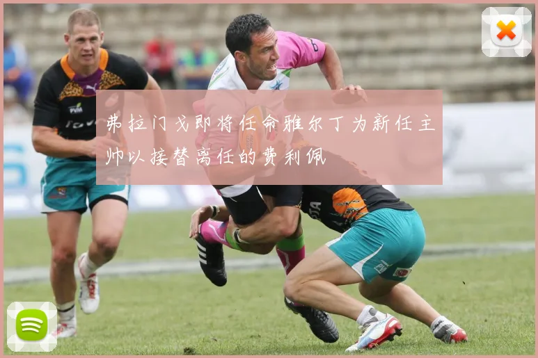 弗拉门戈即将任命雅尔丁为新任主帅以接替离任的费利佩